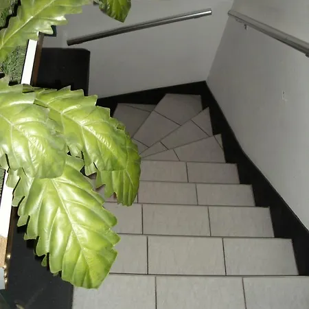 Mala Evropa * Leskovac (Jablanica)