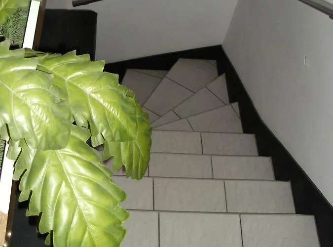 Mala Evropa * Leskovac (Jablanica)